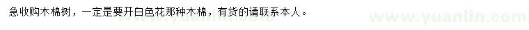 求購木棉樹