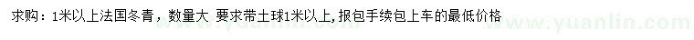 求購1米以上法國冬青