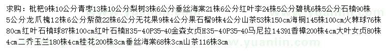 求購枇杷、青棗、梨樹等