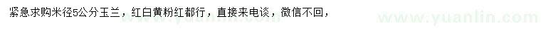 求購米徑5公分玉蘭