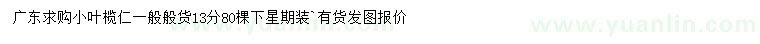 求購13公分小葉欖仁