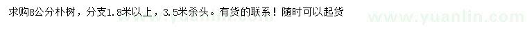 求購8公分樸樹