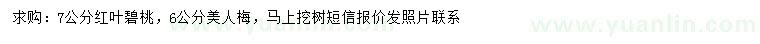 求購(gòu)7公分紅葉碧桃、6公分美人梅