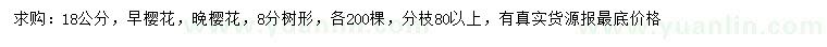 求購8公分早櫻花、晚櫻花
