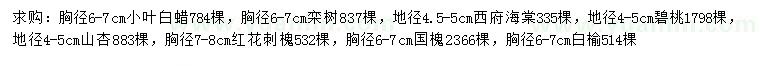 求購小葉白蠟、欒樹、西府海棠等