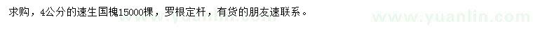 求購4公分速生國槐