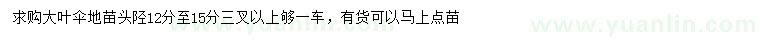 求購頭徑12-15公分大葉傘地苗