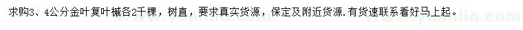 求購3、4公分金葉復(fù)葉槭