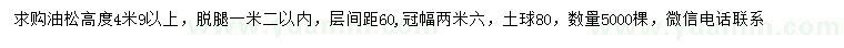 求購高4.9米以上油松