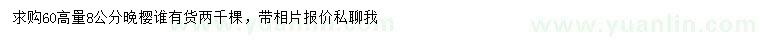 求購高60量8公分晚櫻
