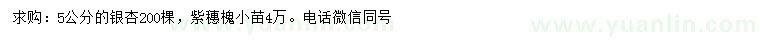 求購5公分銀杏、紫穗槐小苗