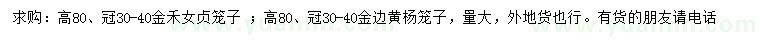求購(gòu)高80公分金禾女貞籠子、金邊黃楊籠子