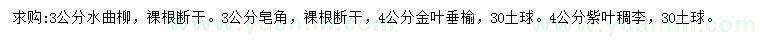 求購水曲柳、皂角、金葉垂等