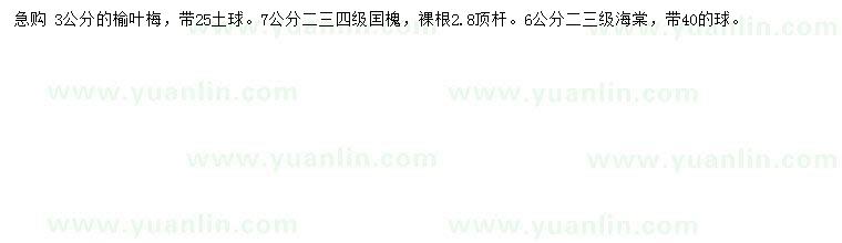 求購榆葉梅、國槐、海棠