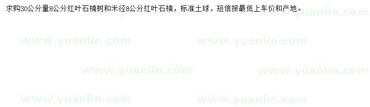 求購30公分量8公分紅葉石楠