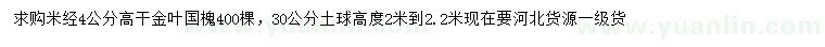 求購米徑4公分高桿金葉國槐