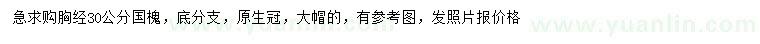 求購胸徑30公分國槐