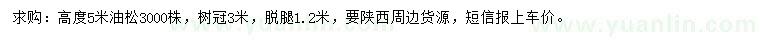 求購高5米油松