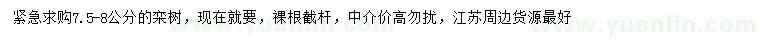 求購米徑7.5-8公分欒樹