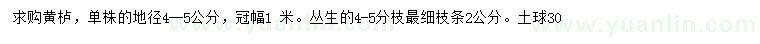 求購(gòu)地徑4-5公分黃櫨