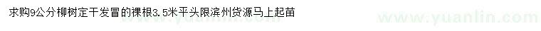 求購9公分柳樹