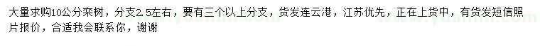 求購10公分欒樹
