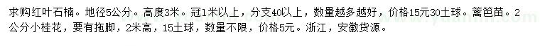 求購地徑5公分紅葉石楠、2公分小桂花
