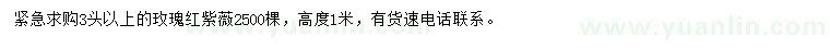 求購(gòu)3公分以上玫瑰紅紫薇