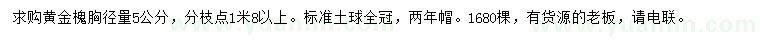 求購(gòu)胸徑量5公分黃金槐