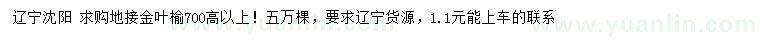 求購高700公分以上地接金葉榆