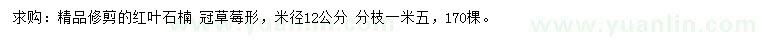 求購米徑12公分紅葉石楠