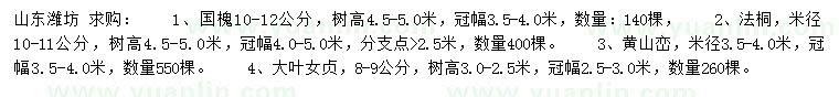 求購國槐、法桐、黃山欒等