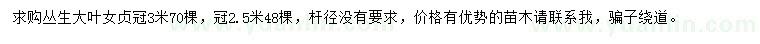 求購冠幅2.5、3米叢生大葉女貞