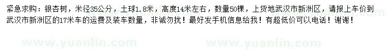 求購米徑35公分銀杏樹