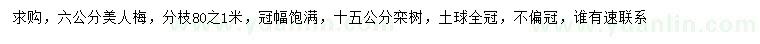 求購(gòu)5公分美人梅