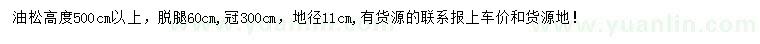 求購高500公分以上油松