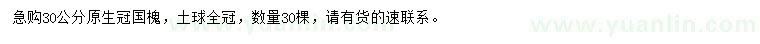 求購(gòu)30公分國(guó)槐