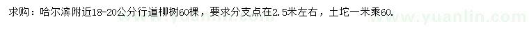 求購18-20公分柳樹