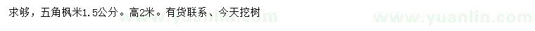 求購米徑1.5公分五角楓