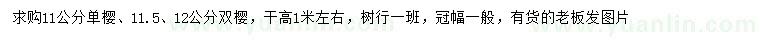 求購11公分單櫻、11.5、12公分雙櫻