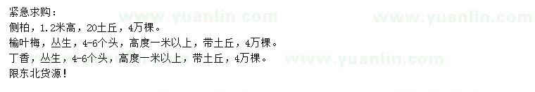 求購(gòu)側(cè)柏、榆葉梅、丁香