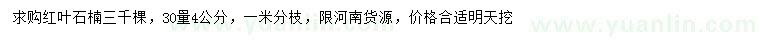求購30量4公分紅葉石楠
