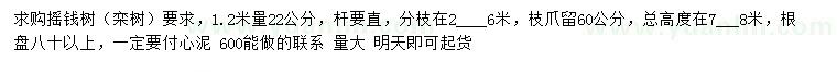 求購1.2米量22公分搖錢樹（欒樹）