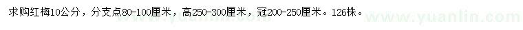 求購10公分紅梅