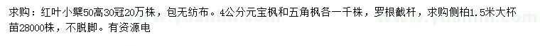 求購紅葉小檗、元寶楓、五角楓等