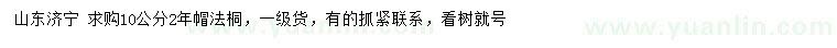 求購10公分法桐