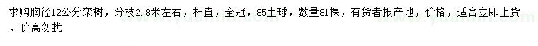 求購胸徑12公分欒樹