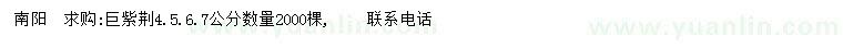 求購4、5、6、7公分巨紫荊