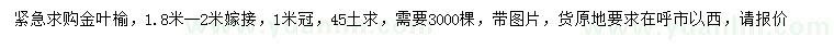 求購1.8-2米金葉榆