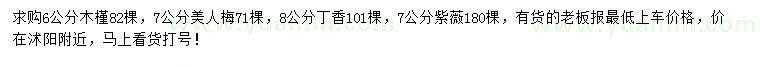 求購(gòu)木槿、美人梅、丁香等